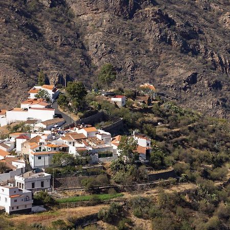 Casa Isabela With Roque Nublo View Apartment Техеда Екстериор снимка