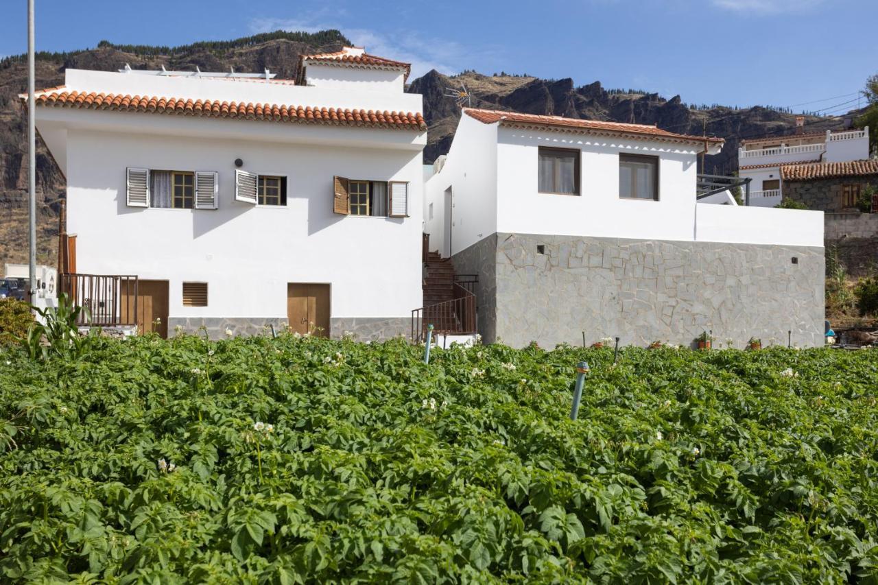 Casa Isabela With Roque Nublo View Apartment Техеда Екстериор снимка