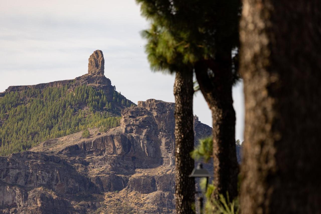 Casa Isabela With Roque Nublo View Apartment Техеда Екстериор снимка